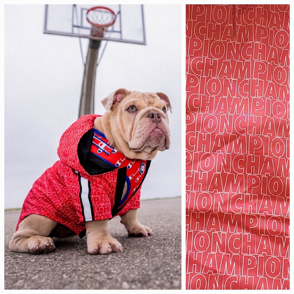 Fresh Pawz Champion Red Lightweight Hooded Rain Jacket Xlarge